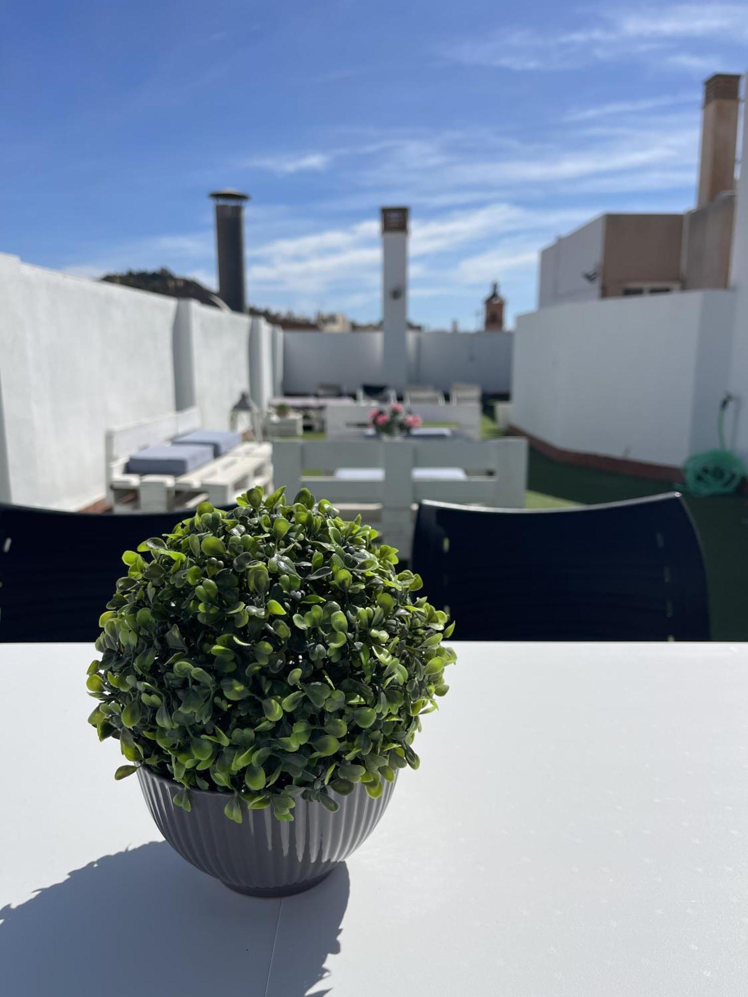 San Rafael Terrace City Centre Málaga Kültér fotó